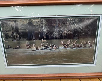 Donald M Yena Signierter Limitierter Druck "The Highbraut of Water" Deer Crossing 742/2000 Gerahmt Groß 34,5x22,5