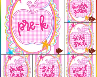 Pink Gingham Apple Teacher Dtf Transfer, Pre-K to 4th Grade Back to School Heat Transfer, Cute Teacher Gift Ready To Press, Dtf Gang Sheet
