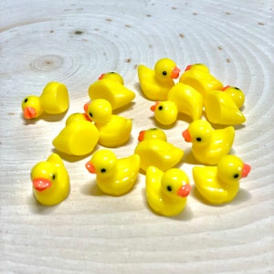 Puede incluir: Una colección de patos de goma amarillos con picos naranjas y ojos negros. Los patos están dispuestos sobre una superficie de madera clara.