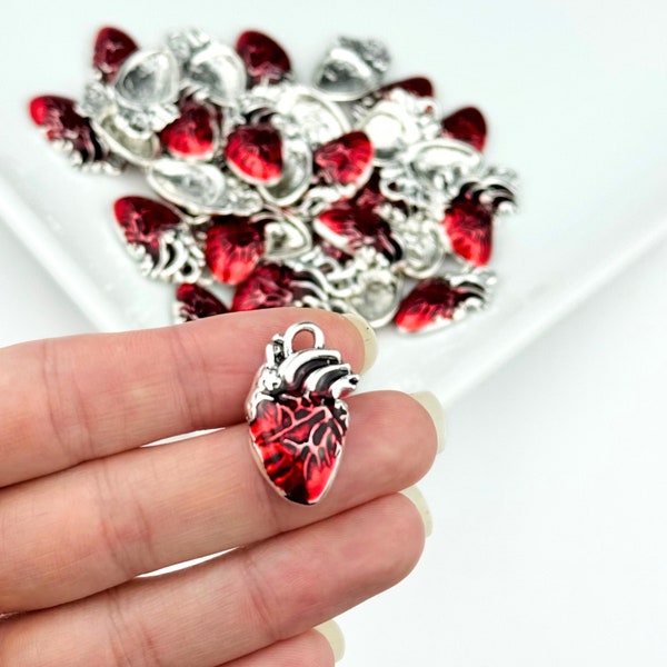 Anatomical Heart Charms/ Human Heart Charm/ Bleeding Heart Charms/ Human Anatomical Heart/ Jewelry Making Supplies