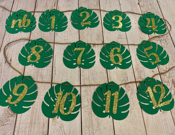 Safari Photo Banner, 12 Month Safari Photo Banner, Jungle  Photo Clips, Monstera Leave3s, Wild One Party Decorations