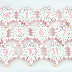 Snowflake Photo Banner, Winter Onederland Photo Banner, Winter Photo Clips, 12 Month Photo Banner, Winter Onederland Party Decorations