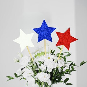 Puede incluir: Tres estrellas de purpurina en colores rojo, blanco y azul están dispuestas en un ramo de flores blancas. Las estrellas están en palos y se utilizan como elemento decorativo.
