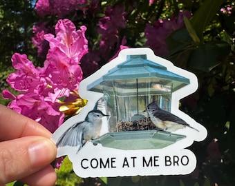 Come At Me Bro Funny Bird Wildlife Sticker