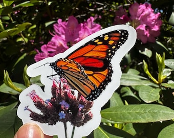 Monarch Butterfly Lepidoptera Sticker
