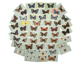 Vintage complete set of Wills British Butterflies collectable cigarette cards. 50 cards. Circa 1920s.