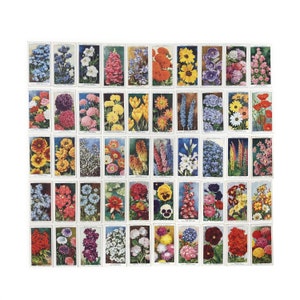 Flores de jardim, um conjunto completo de cartas de cigarro Wills. 50 cartas. 1939. (G2)