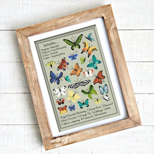 Kaleidoscope of Butterflies INSTANT DOWNLOAD PDF Chart