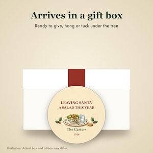 Funny Christmas Ornament, Leaving Santa a Salad This Year, GLP-1 Christmas Humor, Custom Name Ceramic image 7