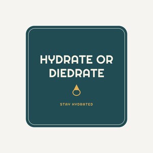 Hydrate or Diedrate Koozie, Funny Can Cooler Drink Sleeve, Party Favor Gift image 3