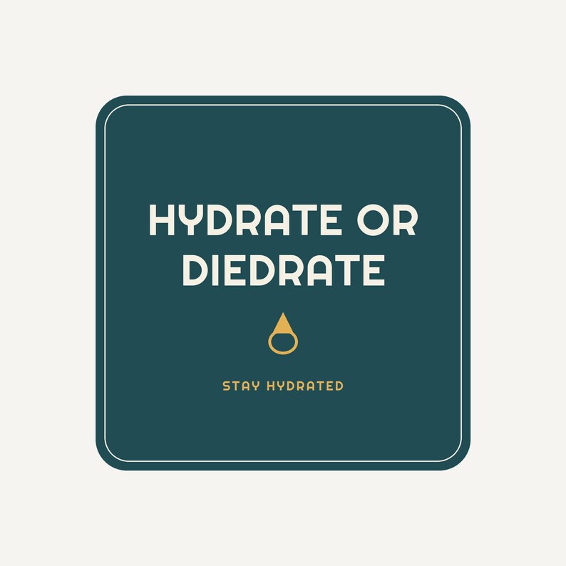Hydrate or Diedrate Koozie, Funny Can Cooler Drink Sleeve, Party Favor Gift image 3
