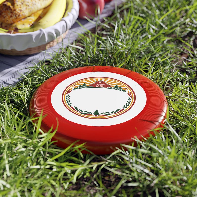 Personalized Family Reunion Frisbee Flying Disc | Custom Family Name image 3