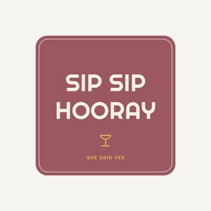 Funda para latas "Sip Sip Hooray" para despedida de soltera, enfriador de latas divertido para despedida de soltera, funda para bebidas para despedida de soltera, regalo para la futura novia. imagen 3