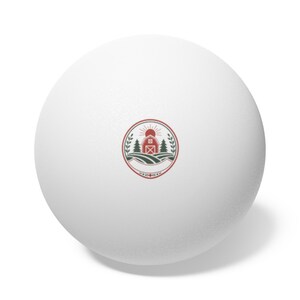 Personalized Family Reunion Ping Pong Balls | Custom Keepsake Party Favor Game image 1