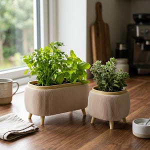 Minimalist Ribbed Herb Planter Set, Indoor Kitchen Herb Planter, Modern Herb Pot with Drainage, Windowsill Planter, Mint Parsley Planter