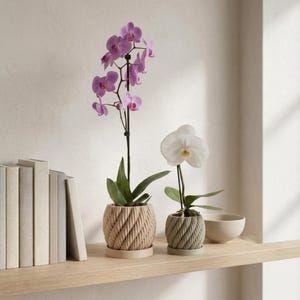 Op de afbeelding: Twee orchideeën in potten op een houten plank. Eén orchidee heeft lichtpaarse bloemen, de andere witte bloemen. De potten zijn beige en groen met een touwachtige textuur. Een kleine, gebroken witte kom staat ook op de plank.