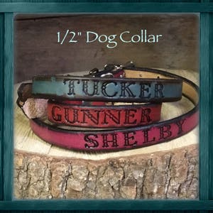 1/2” Personalized Full grain Leather Dog Collar-puppy or small breed- hand tooled and customized for your special pet