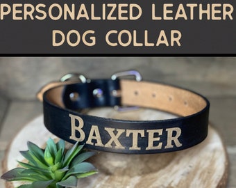 1 1/4" width Personalized Leather Dog Collar-for large-to extra large breed- hand tooled and customized for your special pet