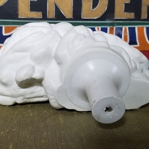 May include: White plastic brain model with a textured surface. The model has a round base with a hole in the center.