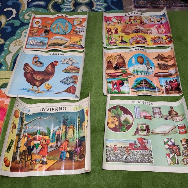 6 Vintage 1968 RAF Mexican Educational School Posters Cotton Circus Chicken Rice Wheat Winter Ready to Frame