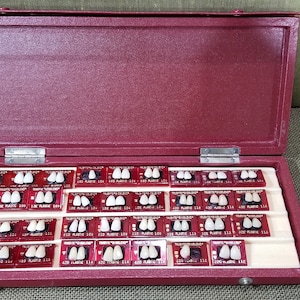 May include: A burgundy case with a hinged lid, open to reveal multiple sets of artificial teeth. Each set is mounted on a small, rectangular card. The case is lined with a cream-colored material.