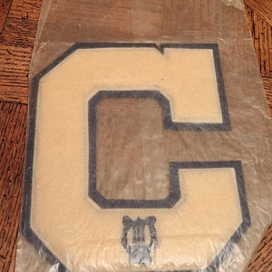 May include: A white felt letter C with a black outline, in a clear plastic bag. The letter is approximately 10 inches tall.