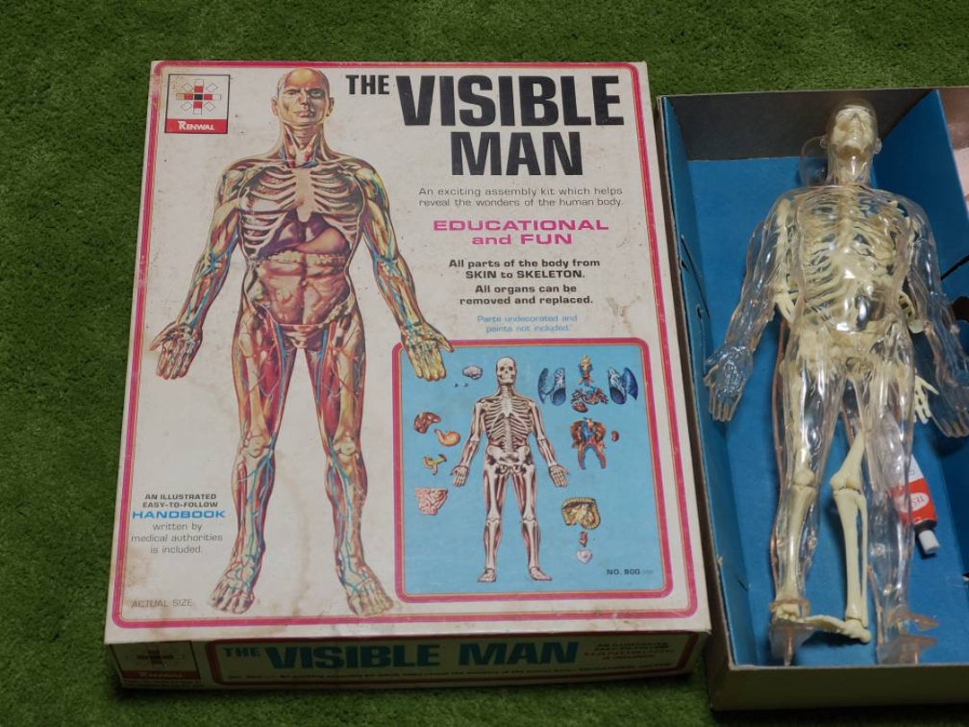 Good Used Condition Vintage the Visible Man in Original Box