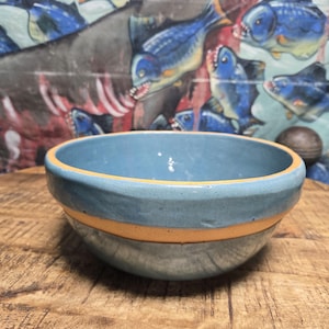 May include: A blue ceramic bowl with a tan stripe around the middle. The bowl is sitting on a wooden surface. The background features a fabric with a fish design.