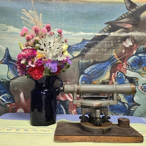 May include: A vintage surveying instrument with a brass base and a gray metal body, resting on a wooden platform. A blue ceramic vase with a bouquet of pink, purple, and red flowers sits on a light blue and yellow tablecloth in the foreground. The background features a colorful painting of fish and a large animal.