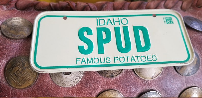 Vintage 1982 Mini Automobile Tin License Plate Idaho State Souvenir