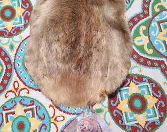 home goods corgi pillow