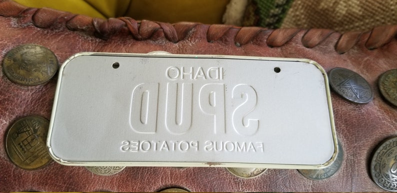 Vintage 1982 Mini Automobile Tin License Plate Idaho State Souvenir