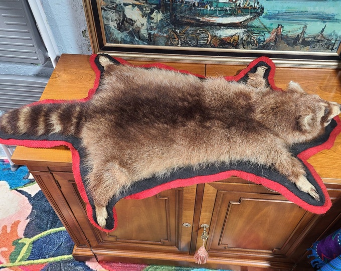 1950's Vintage Full Body Racoon Pelt Rug Authentic Original Oddities ...