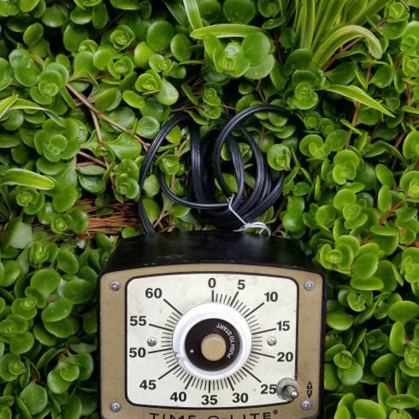 Darkroom Timer Etsy