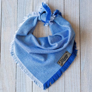 Sunny Skies Dog Bandana (Sky Blue and White, Family Baby Announcement, Its a Boy, Im the Birthday Boy, Herringbone Flannel, Spring Outfit)