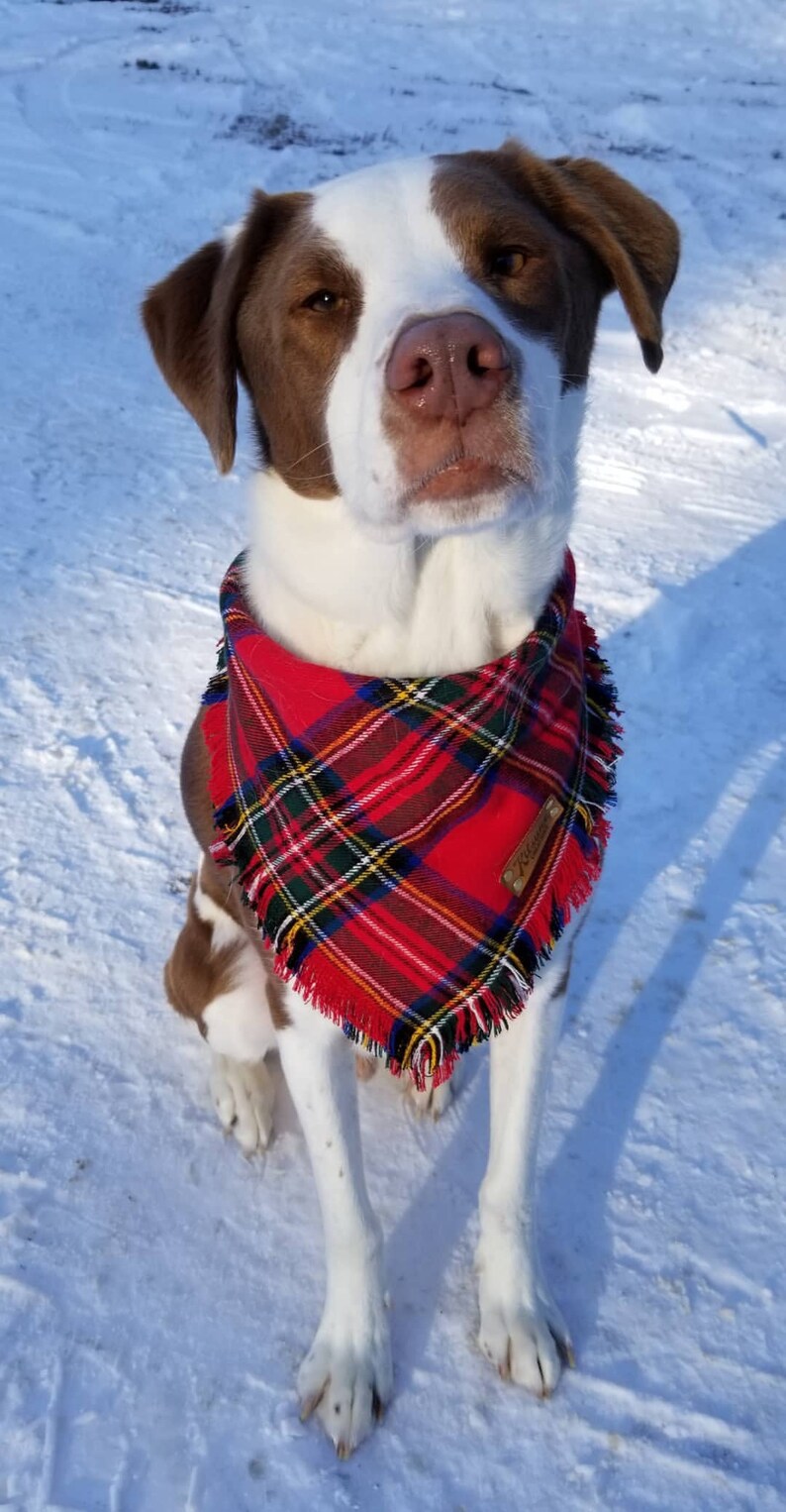 Dog Bandana christmas Tree winter Dog Bandana Etsy