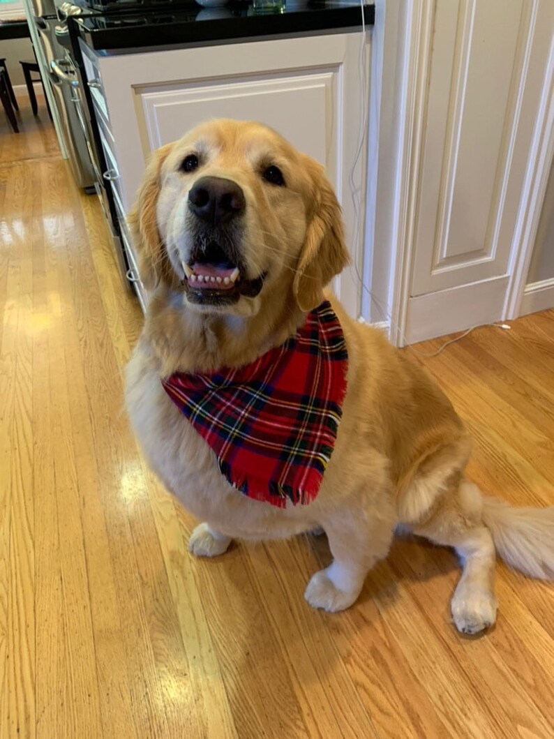 Dog Bandana christmas Tree winter Dog Bandana Etsy