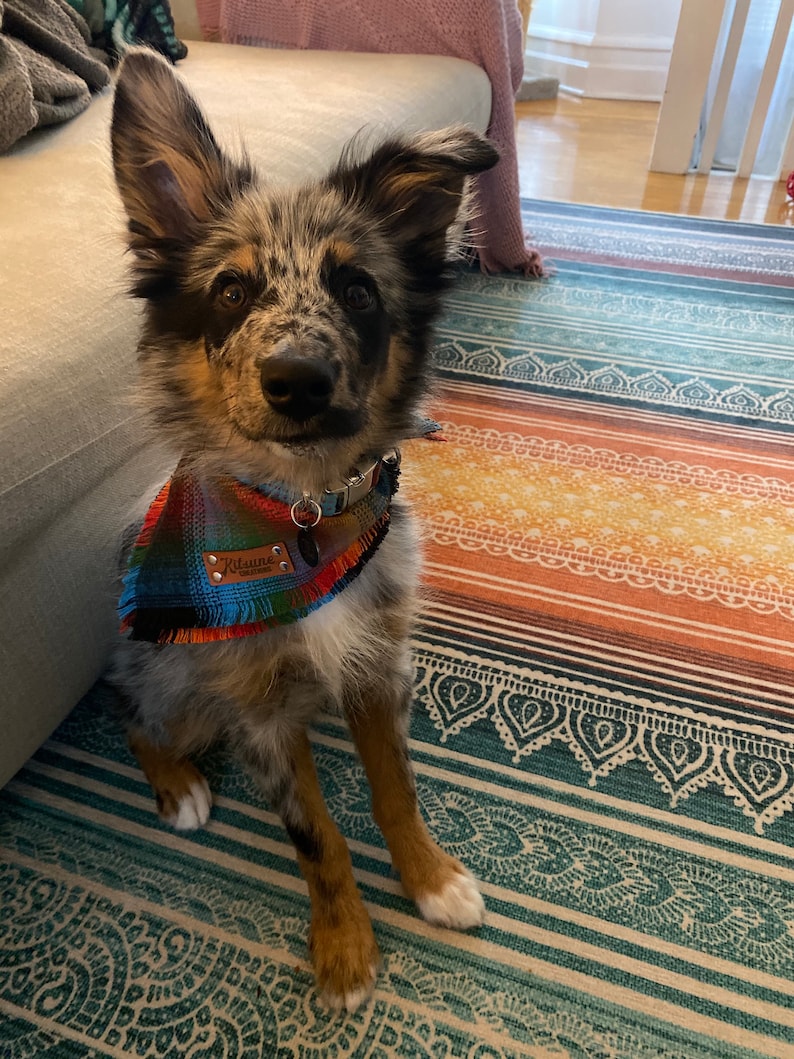 SOUTHWESTERN SUN Dog Bandana Yarn Dyed Flannel Frayed Etsy