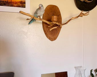 Mounted Mesquite Bird Perch with Sturdy Oak Base
