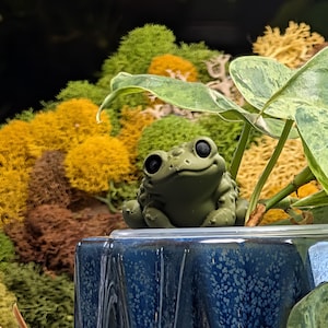 May include: A small, matte olive green frog figurine with large black eyes sits atop a dark blue, textured ceramic planter. The frog is positioned next to a variegated green and white leaf, with a background of yellow and green moss.