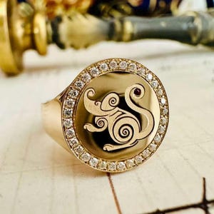 Anillo de oro de 14 quilates con sello de tótem de rata neochino y rubíes (colección para hombre)