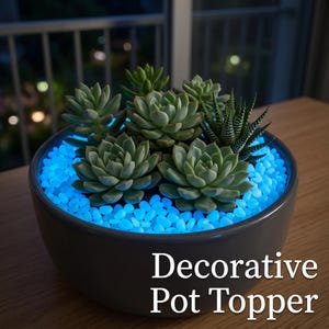 May include: A gray ceramic bowl filled with green succulents and glowing blue pebbles. The text "Decorative Pot Topper" is printed in white on the lower right side of the image. The pebbles emit a bright blue light around the plants.