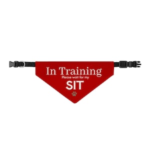 May include: A red triangular pet bandana featuring the white text In Training Please wait for my SIT and a small grey paw print icon. The bandana is attached to a black adjustable collar with a plastic buckle and a metal D-ring for leash attachment.