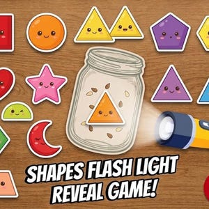 2D Shapes Flashlight Game | Toddler Preschool Learning Activity (Digital Download)