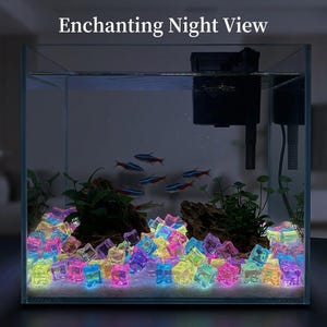 May include: A square glass aquarium with the text Enchanting Night View at the top. Inside, a black filter hangs, while neon tetra fish swim above dark rocks, green aquatic plants, and a layer of glowing, multicoloured translucent ice cubes.