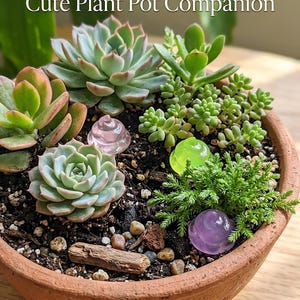 May include: A terracotta plant pot containing various green succulents and three small, smooth, translucent decorative stones in light pink, lime green, and purple. The text "Cute Plant Pot Companion" is visible at the top of the image.