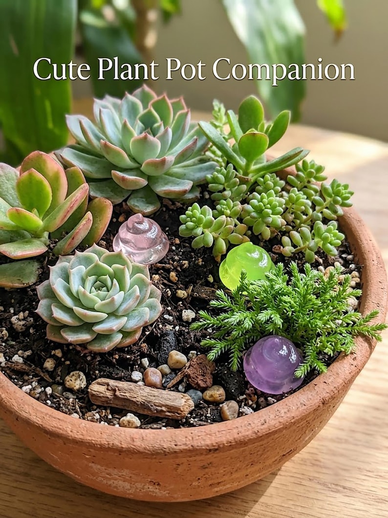 May include: A terracotta plant pot containing various green succulents and three small, smooth, translucent decorative stones in light pink, lime green, and purple. The text "Cute Plant Pot Companion" is visible at the top of the image.