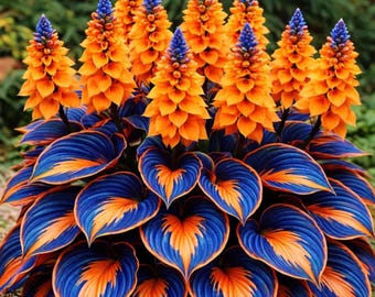 バージニアブルーベル(メルテンシア ヴィルジニカ) バージニアブルーベル（メルテンシア）5本根、野生の花、日陰を好む