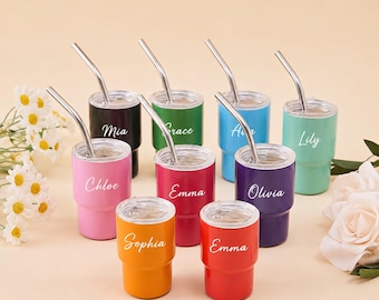Può includere: Una collezione di nove bicchieri in acciaio inossidabile colorato con coperchi trasparenti e cannucce in metallo. Ogni bicchiere presenta un nome unico in corsivo bianco, tra cui Mia, Grace, Ava, Lily, Chloe, Emma, Olivia, Sophia ed Emma.