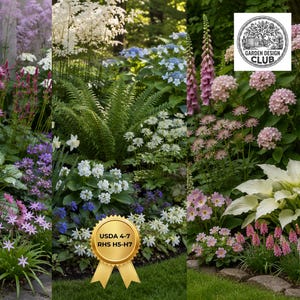 Set van drie schaduwtuinborders | Shady Jewel + Pink Blush + Moody Mauve | Afdrukbare plantplannen voor vaste planten (digitale download)